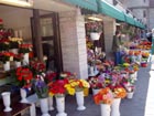 Mercado de Flores