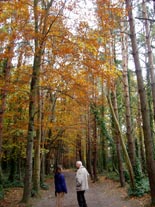 Parque de Malahide