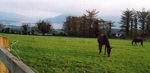 Vista de los Lagos desde Killarney