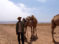 El camellero con sus camellos