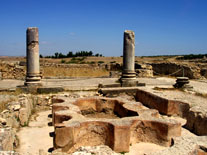 Estanque lobulado en casa de las columnas