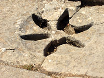 Desague con la forma de la flor de volubilis