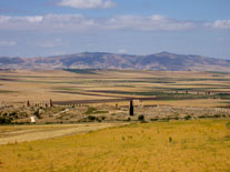 Vista general de Volubilis