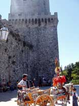 Músico callejero al lado de la Torre del Balio