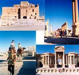 Visita de Palmira